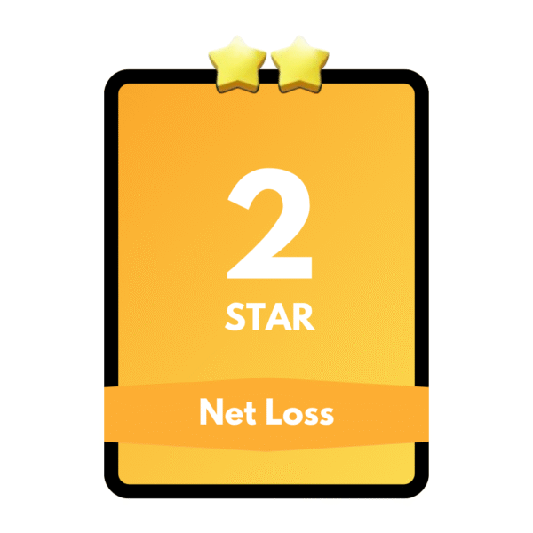Net Loss