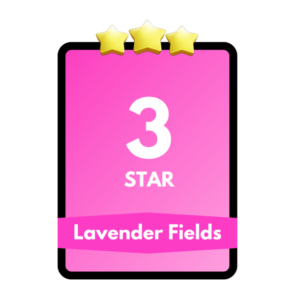Lavender Fields